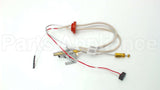 SP20739 Rheem-Ruud Pilot Assembly Ng