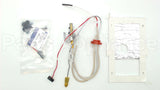 SP20739 Rheem-Ruud Pilot Assembly Ng