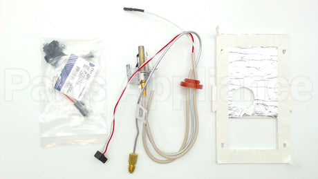 SP20739 Rheem-Ruud Pilot Assembly Ng