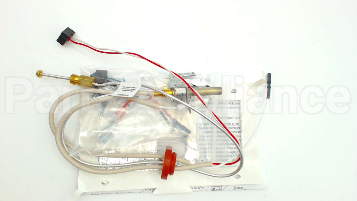 SP20739 Rheem-Ruud Pilot Assembly Ng