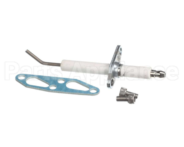 SP20794 Rheem Spark Electrodue W/Gasket