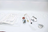 SP20799 Rheem-Ruud Pilot Assembly
