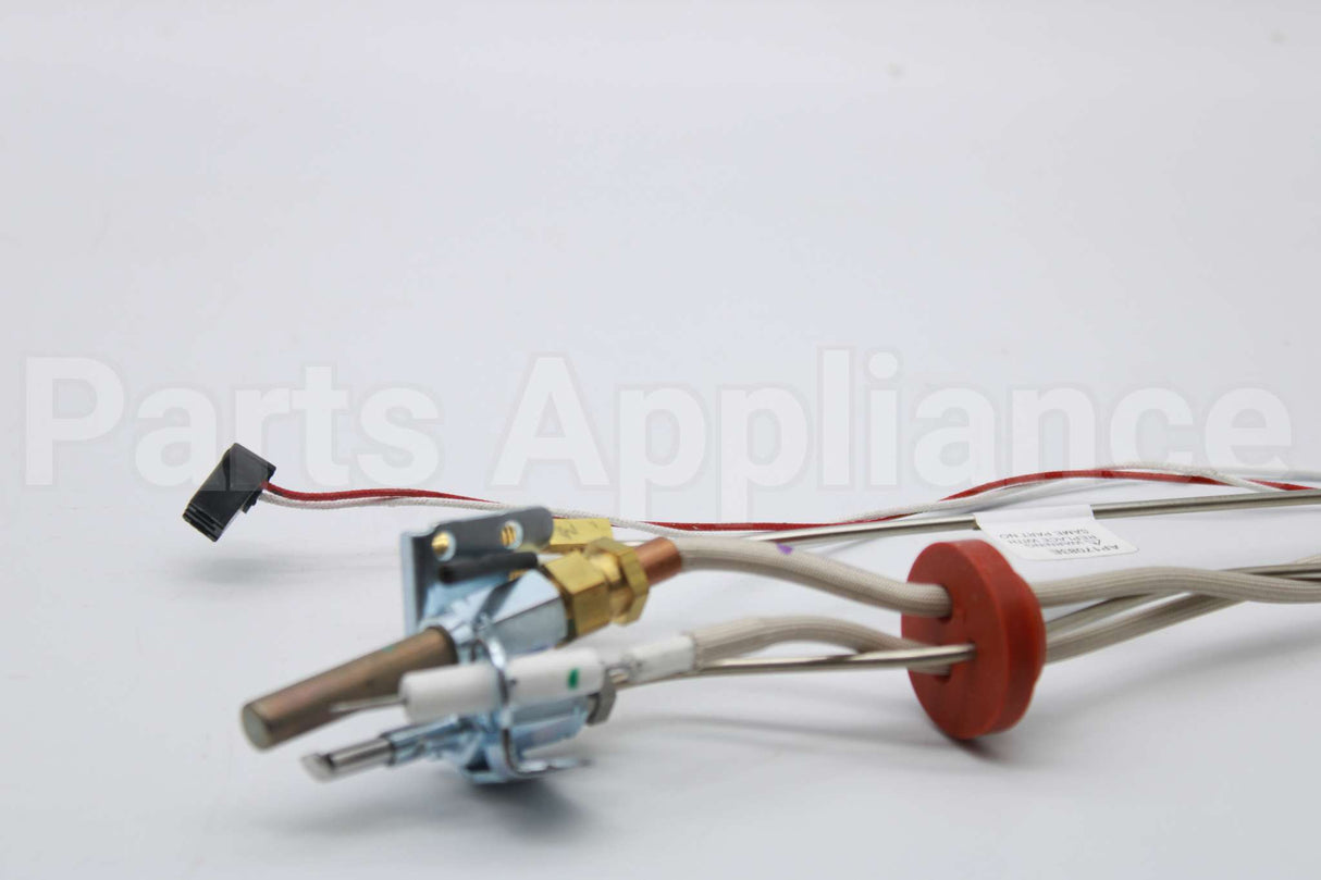 SP20799 Rheem-Ruud Pilot Assembly