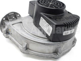 SP20999B Rheem-Ruud Combustion Blower Assembly