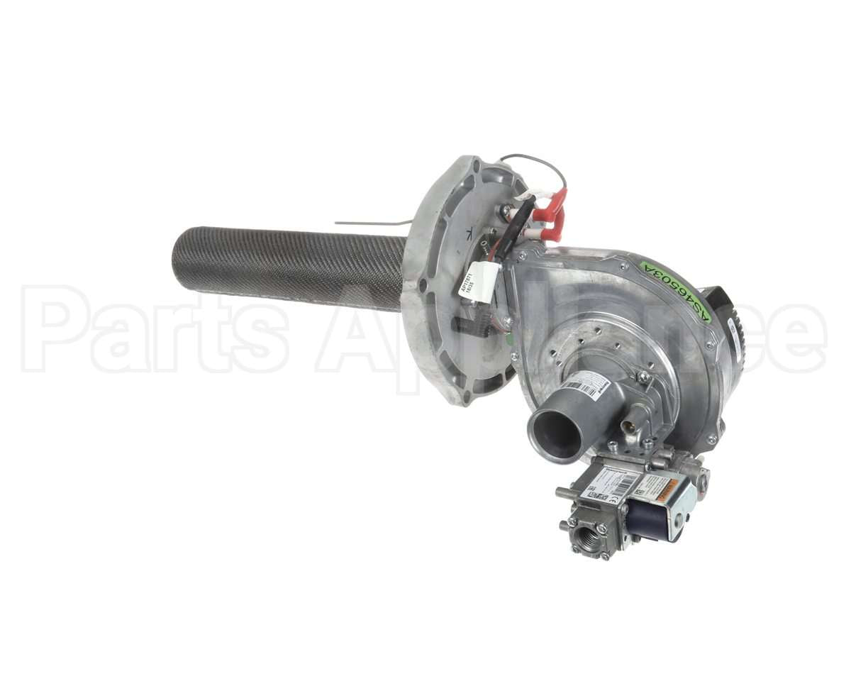 SP21001A Rheem-Ruud Combustin Assy Nat