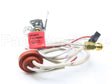 SP21059 Rheem-Ruud Pilot Assembly Replacement Kit