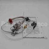 SP21082 Rheem-Ruud Pilot Assy Replacement Kit Ng