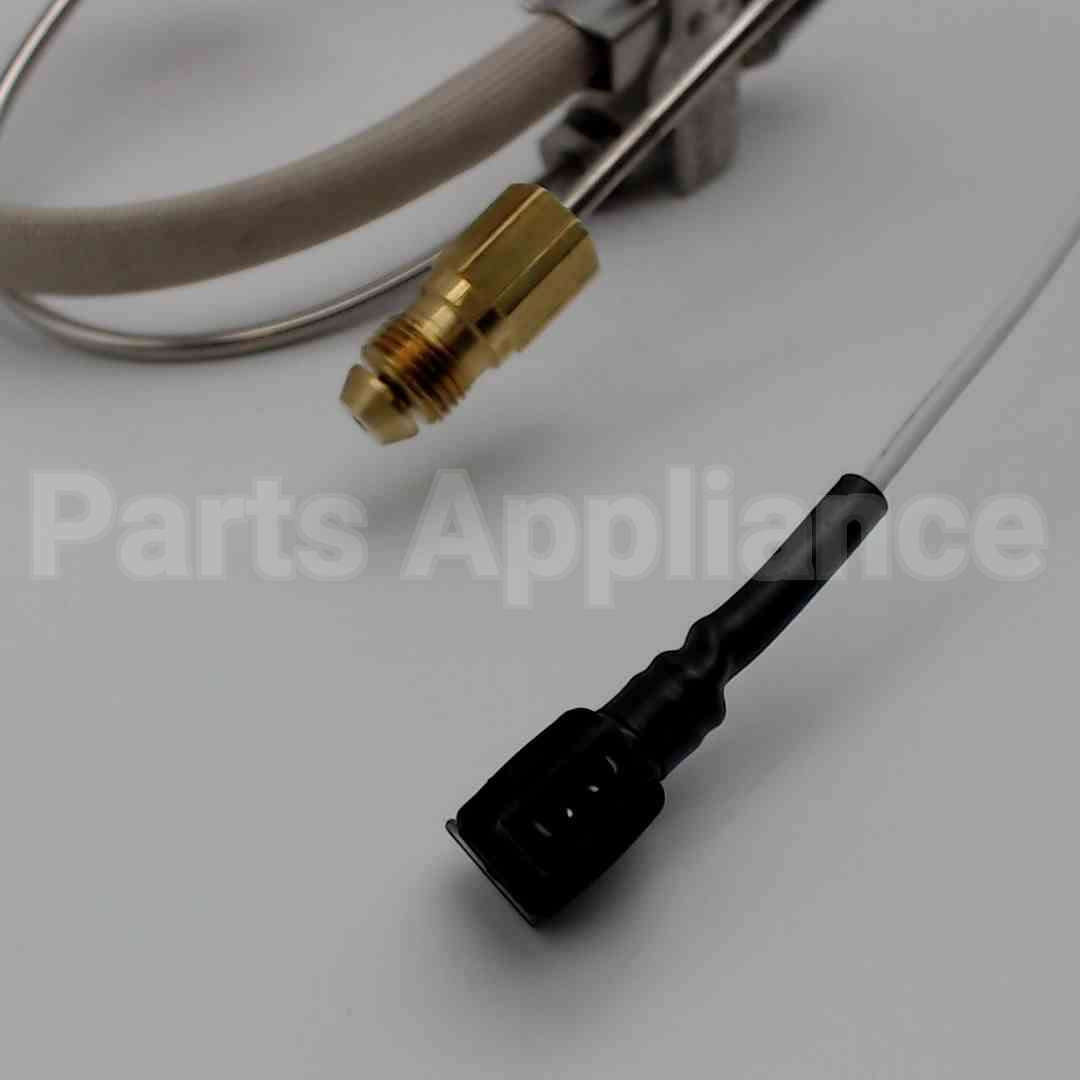 SP21082 Rheem-Ruud Pilot Assy Replacement Kit Ng