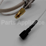 SP21082 Rheem-Ruud Pilot Assy Replacement Kit Ng