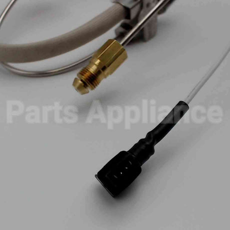 SP21082 Rheem-Ruud Pilot Assy Replacement Kit Ng