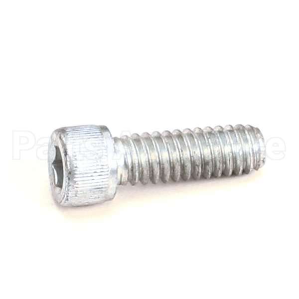 SSH142034 Compatible Doughpro Screw, Socket Head 1/4-20X3/4