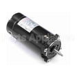 ST1102 Century Pool And Spa Pump Motor