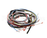 ST400021 Cleveland Service Wiring Harness Tket12T