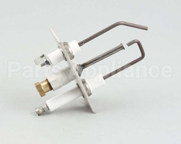 SWR51026 Cleveland Ignitor Assembly, Natural Gas, Rotiss