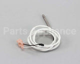 T0170 Bki Temperature Probe, Co