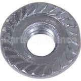 TBC100906 Compatible Turbo Chef Nut 1/4X20 Serrated Hex Flange