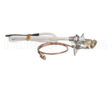 U00677 Globe Pilot Assembly