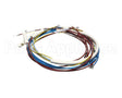 U00700 Globe Wiring Kit