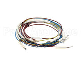 U00700 Globe Wiring Kit