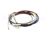 U00700 Globe Wiring Kit