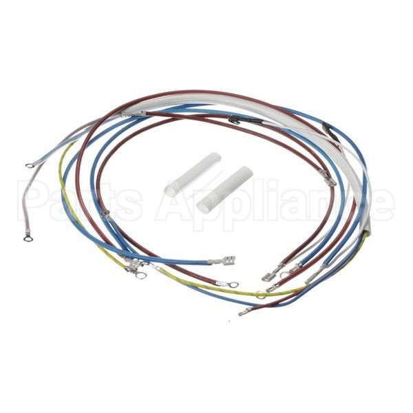 U00813 Compatible Globe Wiring Kit