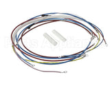 U00813 Globe Wiring Kit