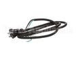 U03021205013 Globe Plug & Lead - 240V
