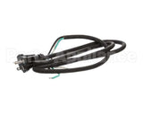 U03021205013 Globe Plug & Lead - 240V