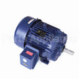 U876B Marathon Motor