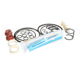 US193-024876 Carpigiani Tune Up Kit Minor Uf253/203P
