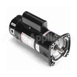 USQ1252 Century Pool And Spa Pump Motor