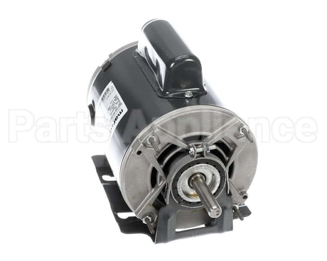 V993-1263 Carnes Motor