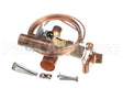 VAL10493 Trane Valve; Expansion, Bbize 8-Ga B30