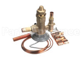 VAL9069 Trane 300Psi Relief Valve