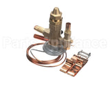 VAL9069 Trane 300Psi Relief Valve