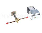 W0650029 Grindmaster Cecilware Valve, Solenoid Complete
