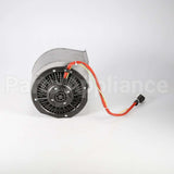 W10382894 Whirlpool Motor-Fan