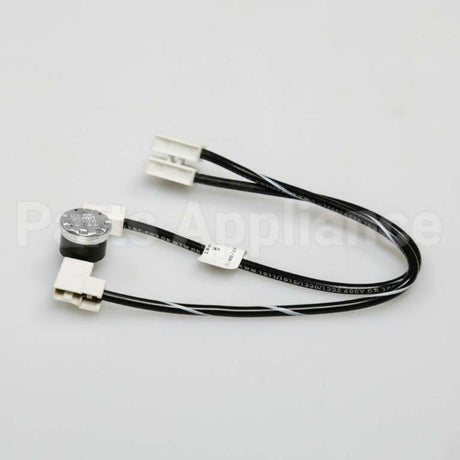 W10402110 Whirlpool Fuse