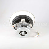 W10428775 Whirlpool Pump & Motor