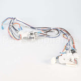 W10450407 Whirlpool Harns-Wire