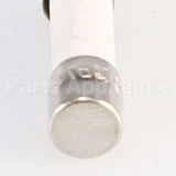 W10487251 Whirlpool Fuse