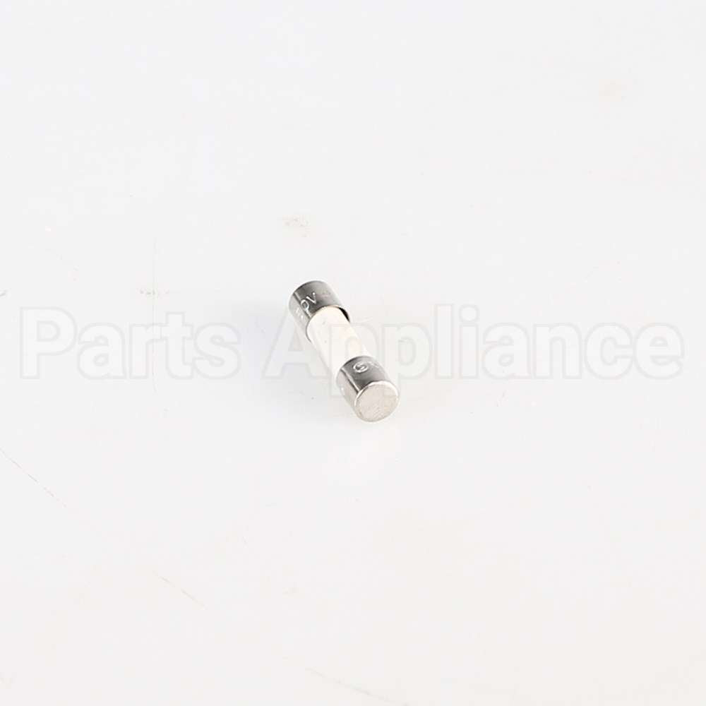 W10487251 Whirlpool Fuse