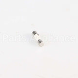 W10487251 Whirlpool Fuse