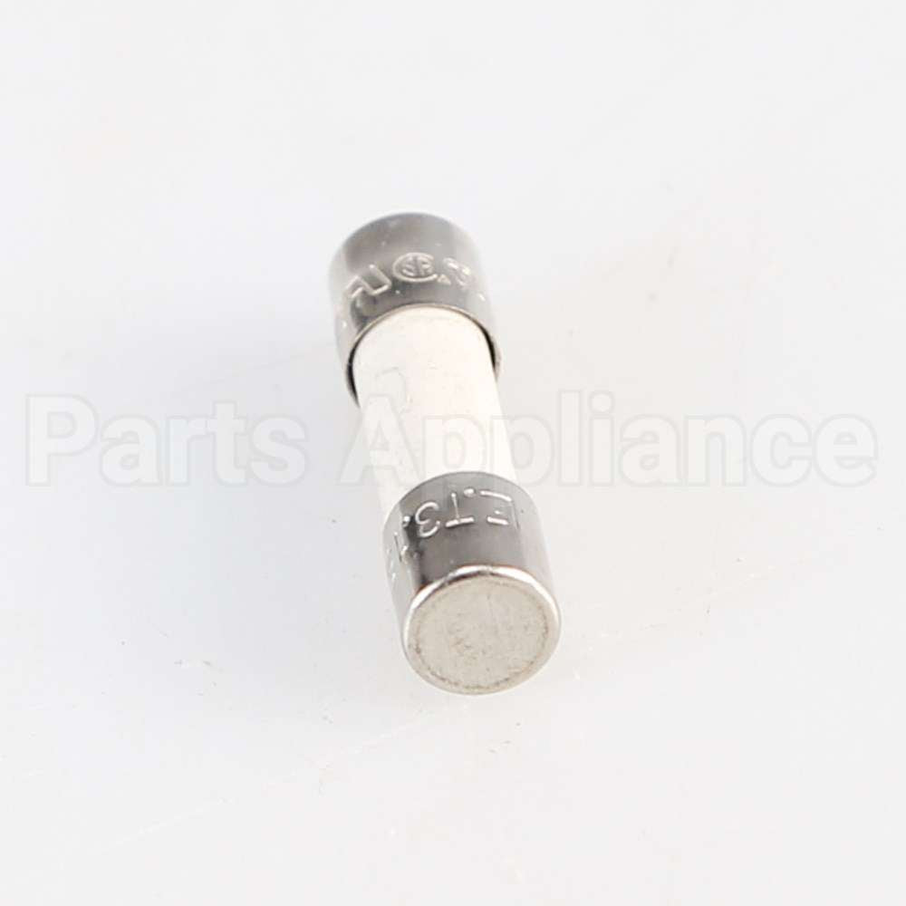W10487251 Whirlpool Fuse