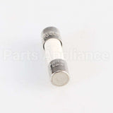 W10487251 Whirlpool Fuse