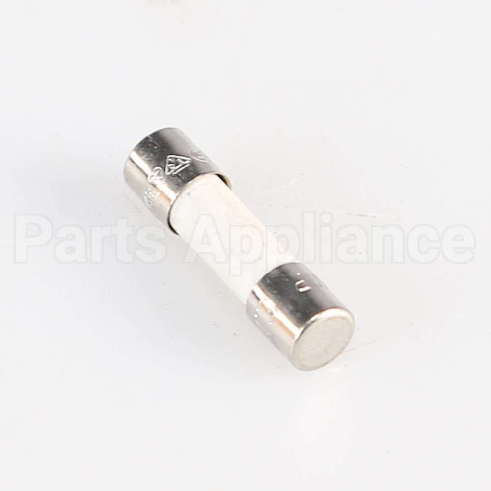 W10487251 Whirlpool Fuse