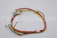 W10744211 Whirlpool Harns-Wire
