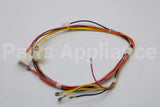 W10744211 Whirlpool Harns-Wire