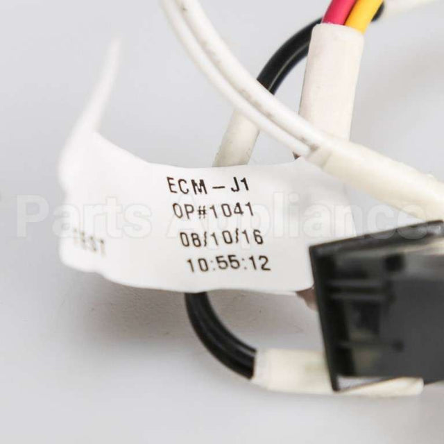 W10837236 Whirlpool Harns-Wire