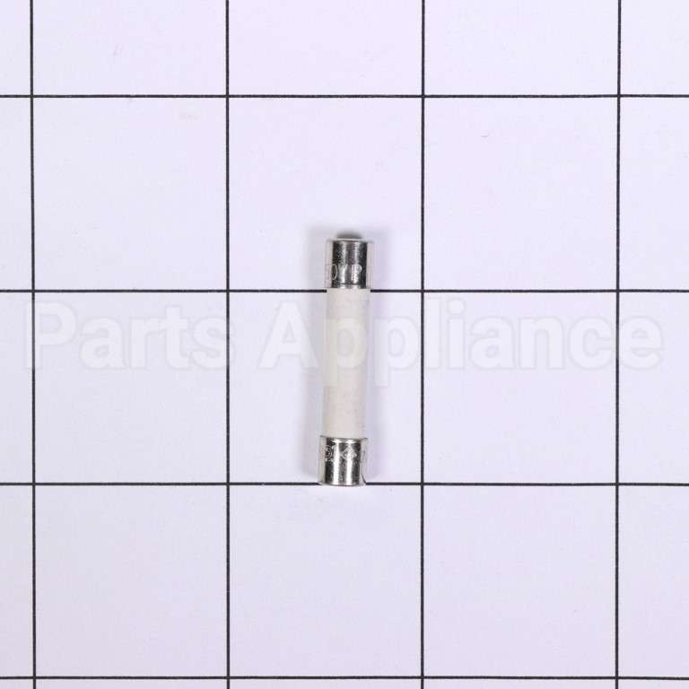 W10856869 Whirlpool Fuse